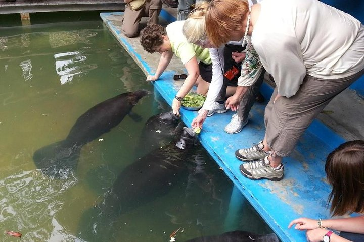 Manatee Amazon Rescue Center