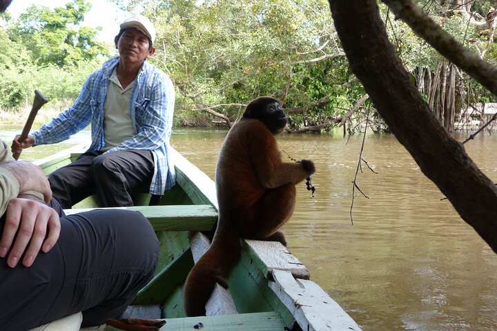 Iquitos Jungle 4 days Private Tour -native community project- - Photo 1 of 19