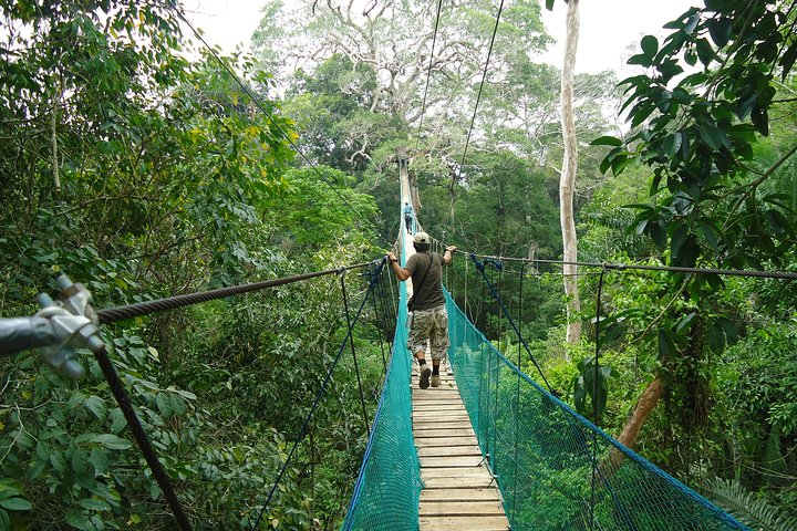 Jungle Eco Jungle And Adventure - 4 Days / 3 Nights - Photo 1 of 7