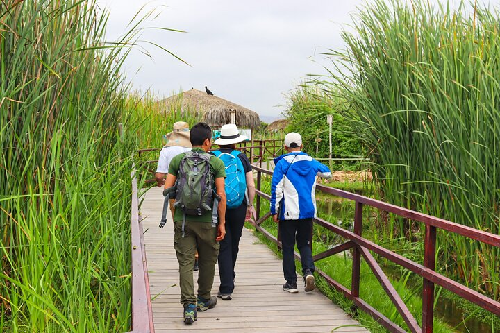 Last Little Wildlife Refuge in Lima - Photo 1 of 10