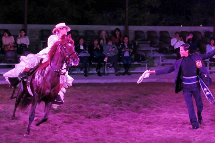 Lunch Show - Exhibition of Peruvian Horse with Pick up & drop off - Photo 1 of 6