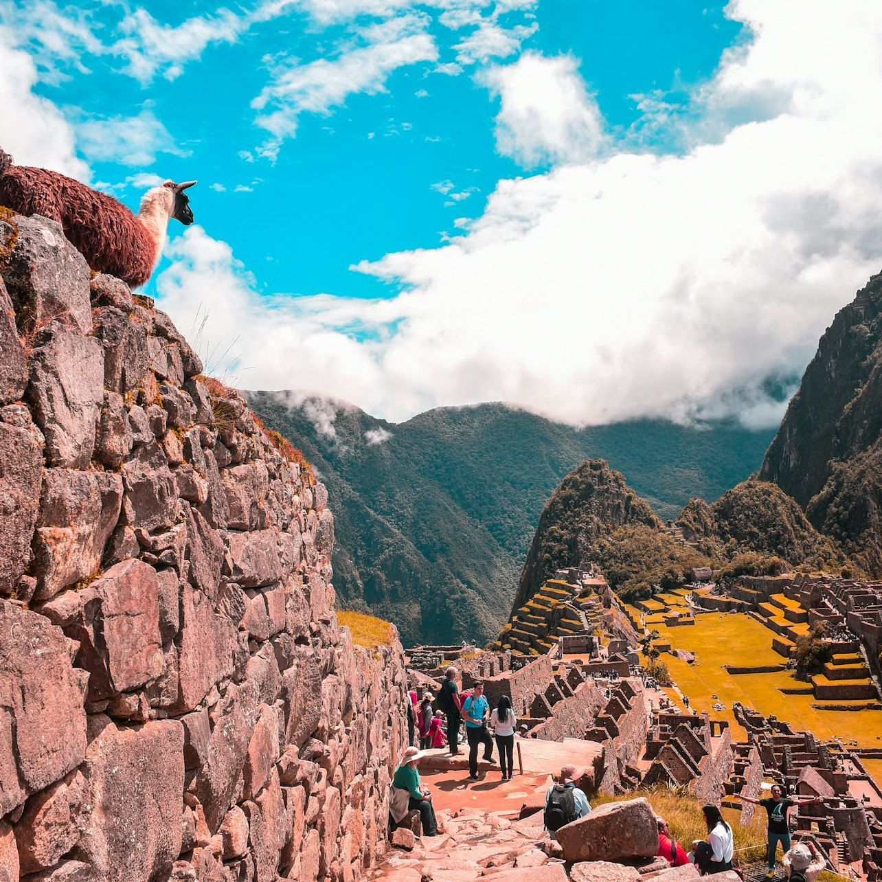 Machu Picchu Tour from Cusco - Photo 1 of 3