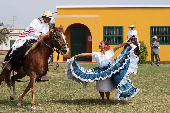 Peruvian Paso Horse & Marinera with lunch at Trujillo - Photo 1 of 9