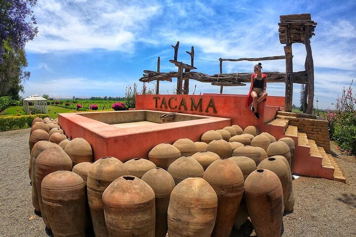 Pisco Route: La Caravedo, Tacama and Nietto Vineyard - Photo 1 of 13