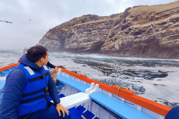 Sea Lions Sightseeing & ATV Off Road Adventure from Lima - Photo 1 of 9