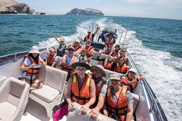 Visit the Sea Lions in Palomino Islands, in Lima Peru - Photo 1 of 22