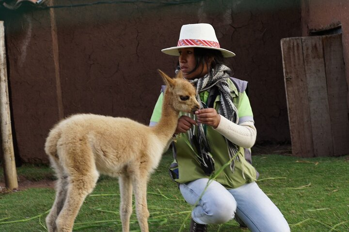 Voluntering at the Cochahuasi Sanctuary - Photo 1 of 6