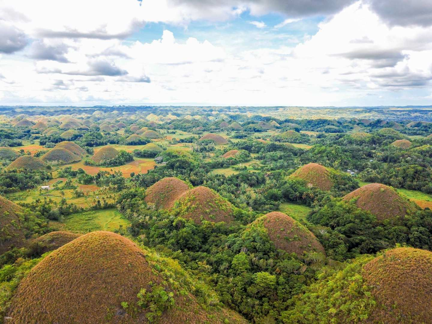 5-Day Bohol & Panglao Tour: Virgin Island Afternoon Sandbar, Pamilacan Island Day Tour, Countryside Wonders of Bohol with Optional Transfer Service | Philippines - Photo 1 of 8