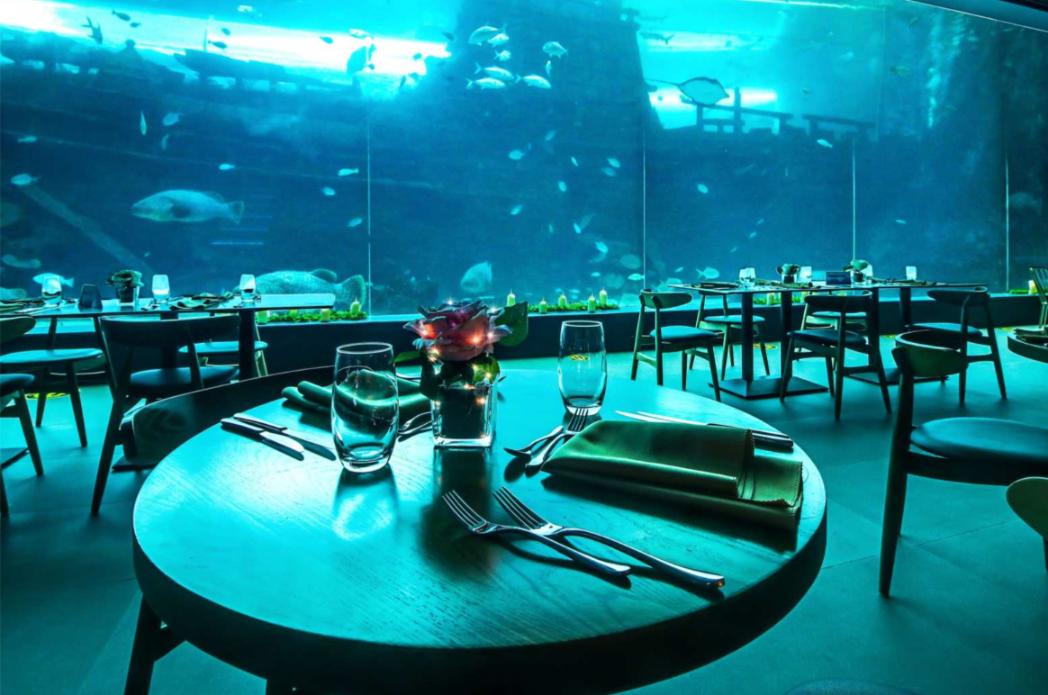 Aqua Dining at Cebu Ocean Park: A Magical Dining Experience Under the Sea - Photo 1 of 9