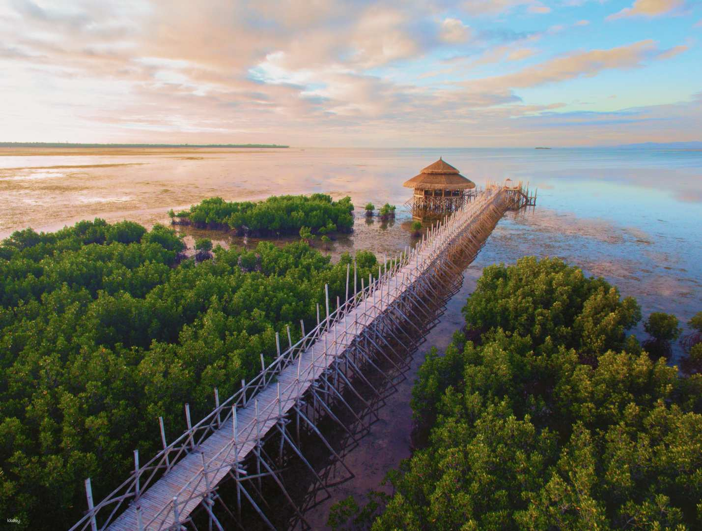 Bamboo Walk Experience & Day Pass at North Zen Villas Panglao | Bohol - Photo 1 of 5