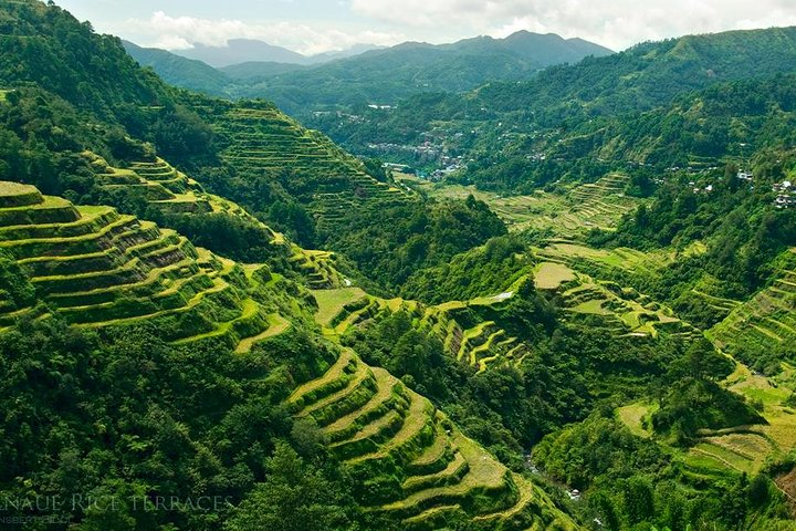 Banaue Rice Terraces