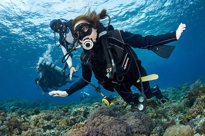 Beginner Discovery Scuba Diving in Anilao 2.5 hours away from Manila** - Photo 1 of 4