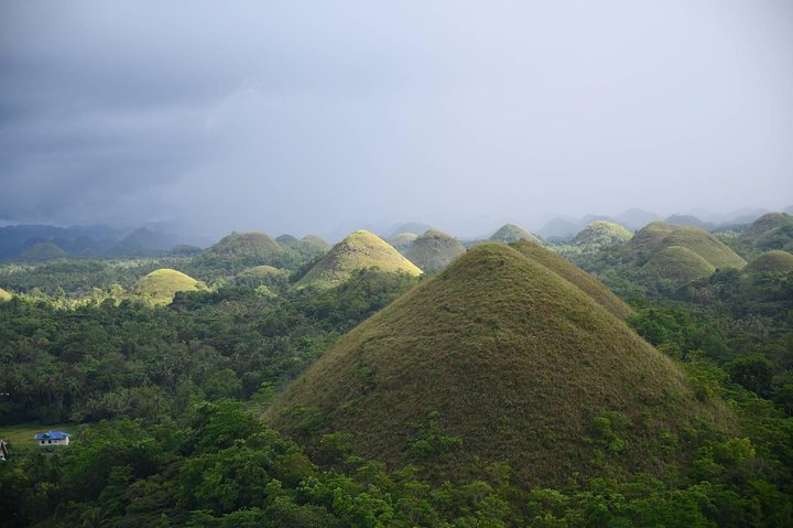 Bohol Chocolate Hills & Tarsiers with roundtrip ferry from Cebu - Photo 1 of 25