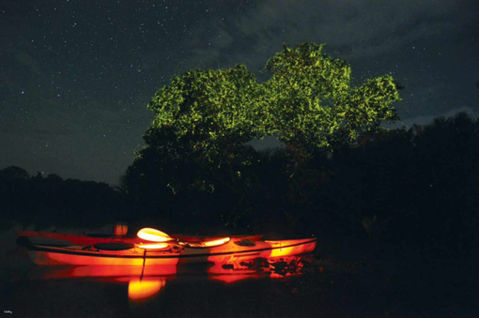 Bohol Firefly Tour at Loay River or Abatan River With Dinner | Philippines - Photo 1 of 6