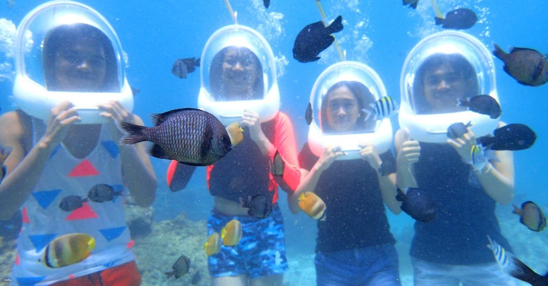 Bohol Island 15-Minute or 40-minute Helmet Diving Experience | Philippines - Photo 1 of 1