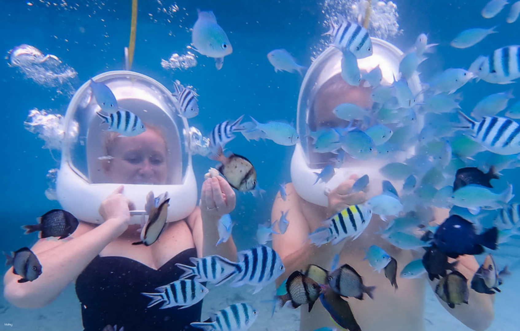 Boracay Helmet Diving (Aquanaut) Experience With Photos and Videos | Philippines - Photo 1 of 2