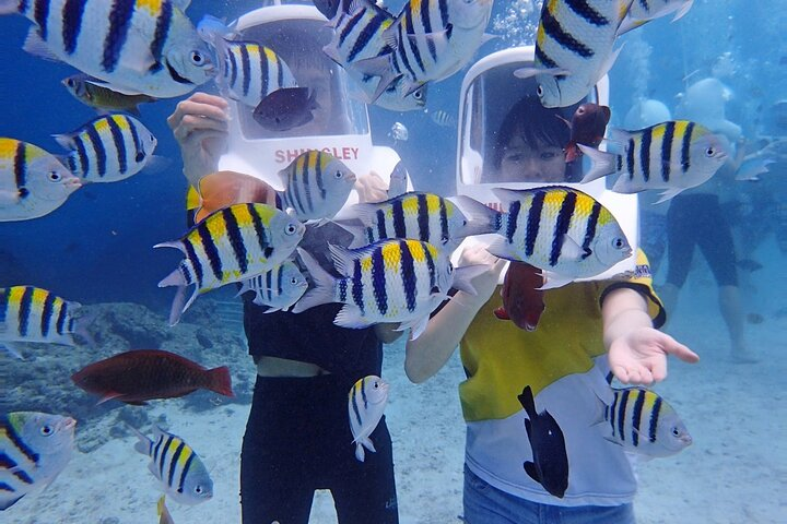 Boracay Helmet Diving - Photo 1 of 6