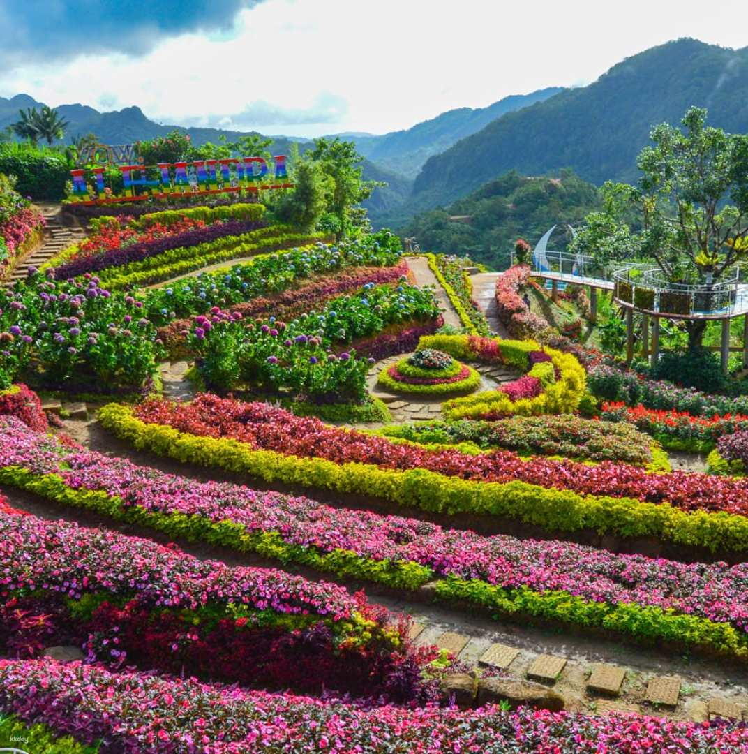 Cebu Mountain Tour: Sirao Flower Garden, Tops Lookout & Temple of Leah with Hotel Transfer | Philippines - Photo 1 of 9