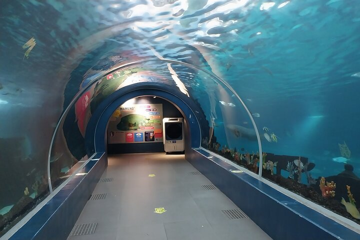 Cebu Ocean Park Aquarium