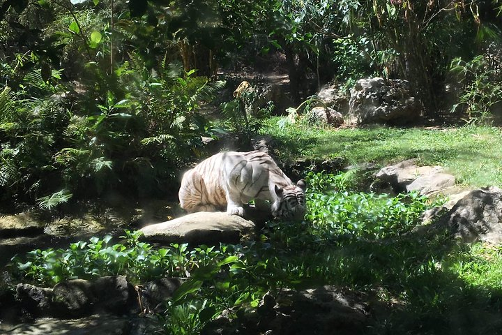 Cebu Safari and Adventure Park  - Photo 1 of 15