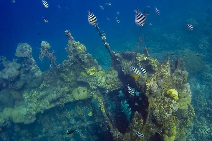 Coron Island Tour B (Private) - Photo 1 of 6