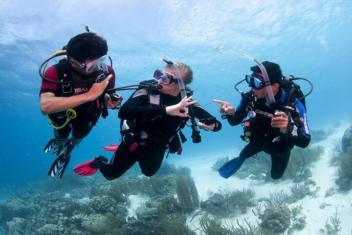 Discover Scuba Diving in Boracay with U/W Photo and Video - Photo 1 of 6