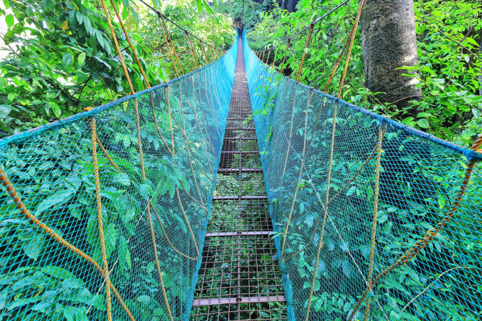 El Nido via Ferrata Canopy Walk Ticket | Philippines - Photo 1 of 4