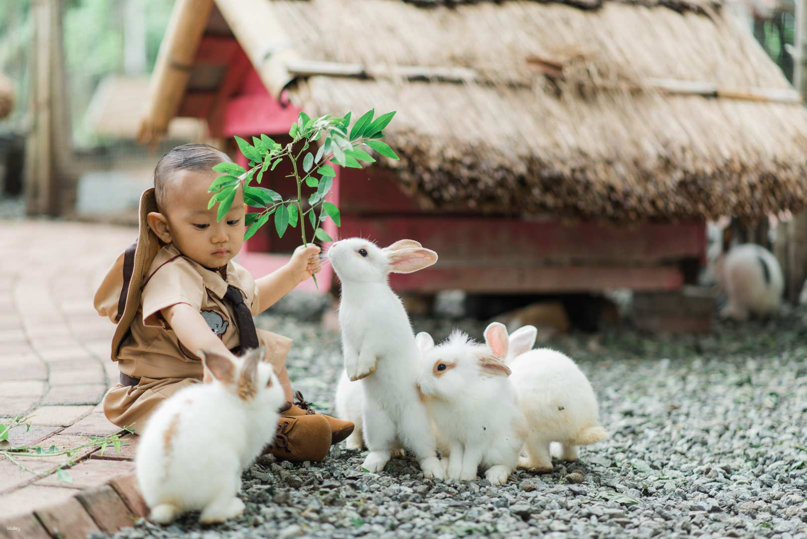 Farm Workshop at South Farm Panglao |  Bohol - Photo 1 of 6