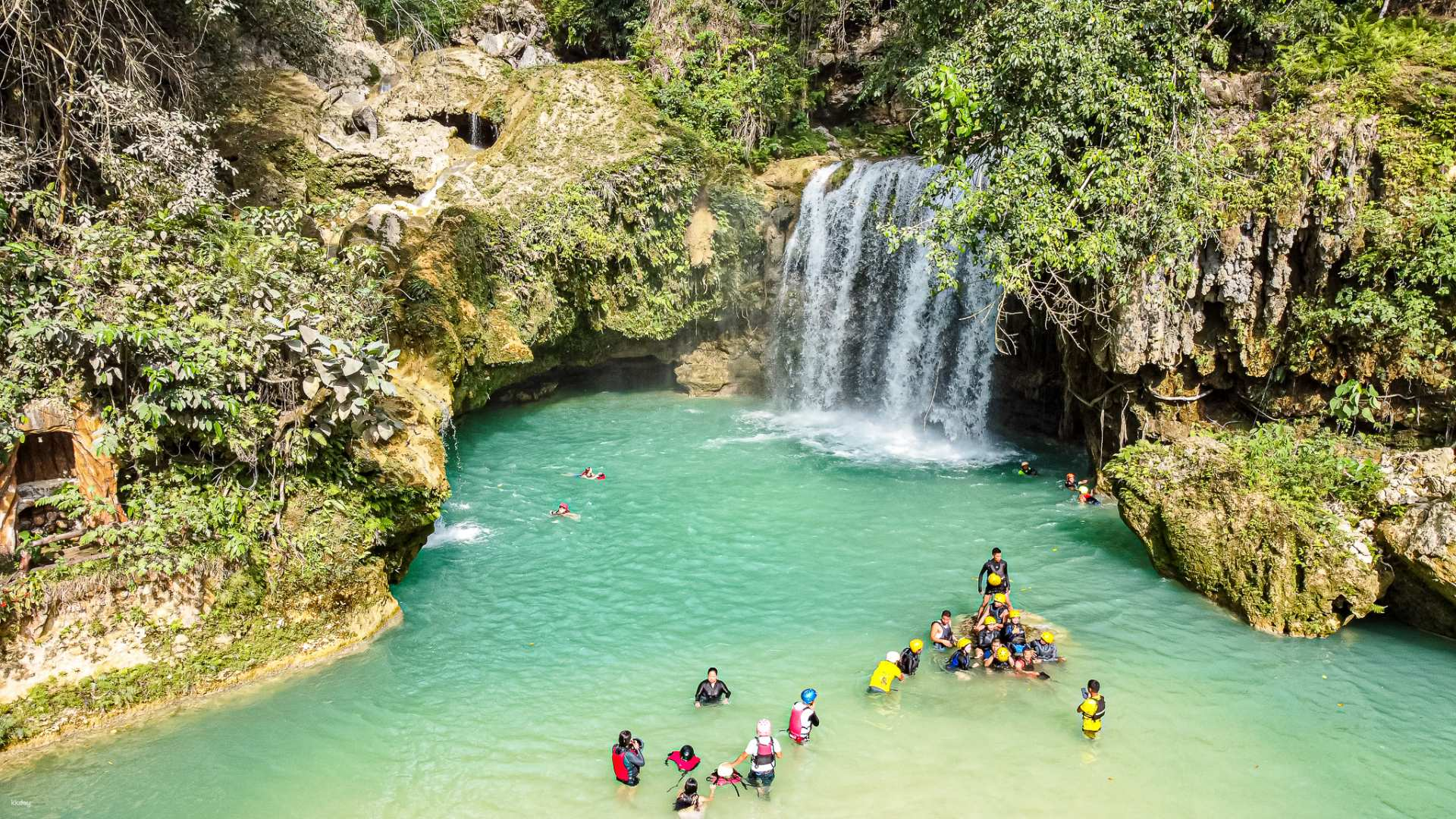 Kawasan Falls Canyoning + Moalboal (Sardine School & Sea Turtle) Snorkeling Tour (Japanese guide/round-trip transfer/insurance included) - Photo 1 of 9