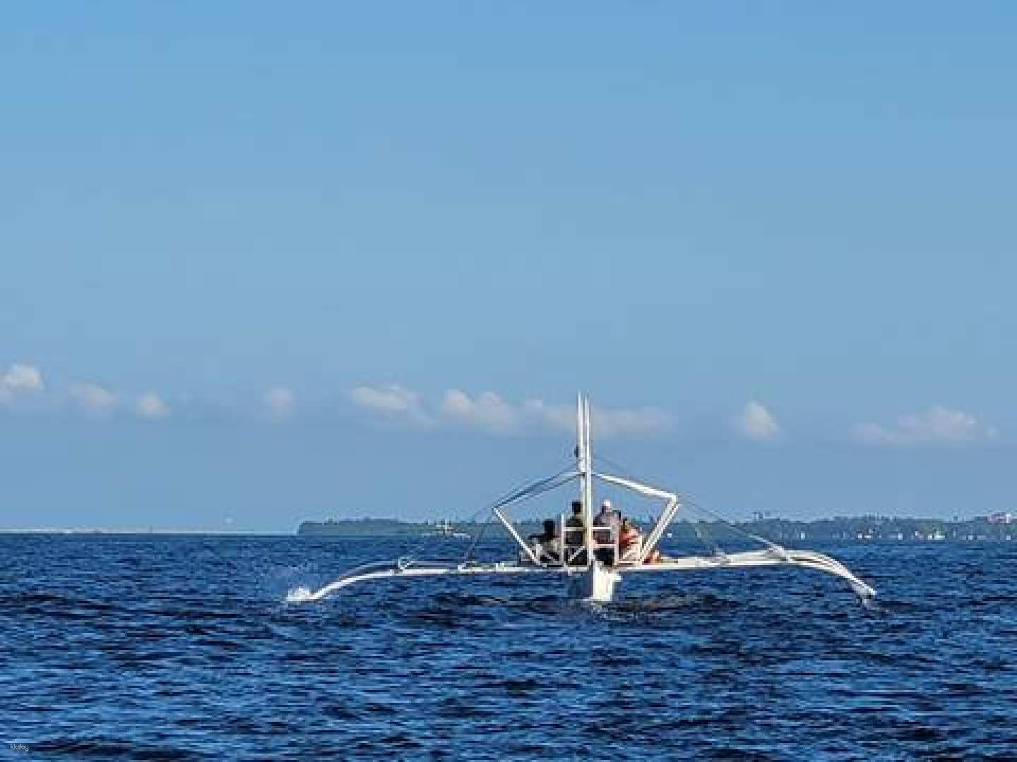 [Koreans only] Bohol Whale Shark + Balicasag Hopping Tour (BBQ lunch included) - Photo 1 of 6