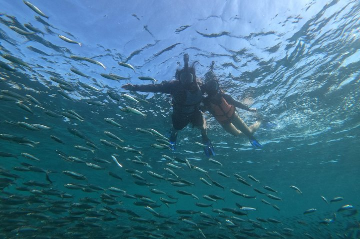 Moalboal sardines, turtles, and Kawasan Canyon - Photo 1 of 15