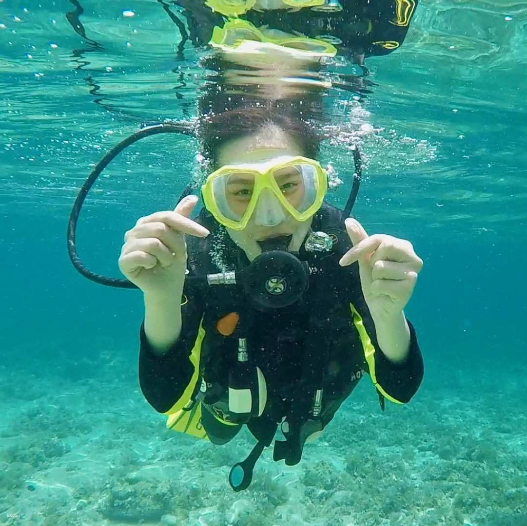 Panglao PADI Scuba Diving Certification Courses with Optional Transfer Service | Philippines - Photo 1 of 7