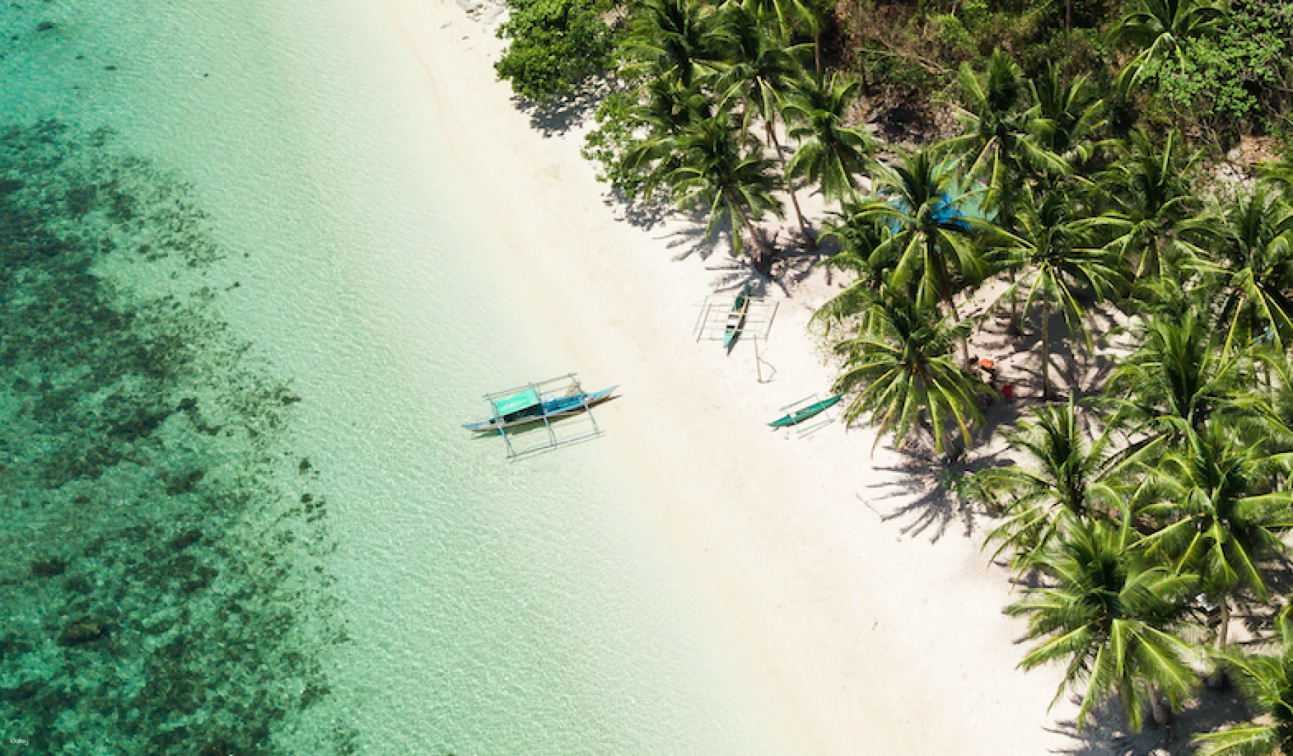 Port Barton Island Hopping Tour (Maxima/Exotic Island, Turtle Spot,Twin Reefs & More) | Philippines - Photo 1 of 6