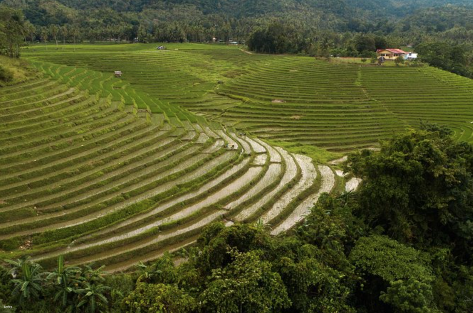 Wonders of Anda Bohol Private Day Tour | Philippines - Photo 1 of 2