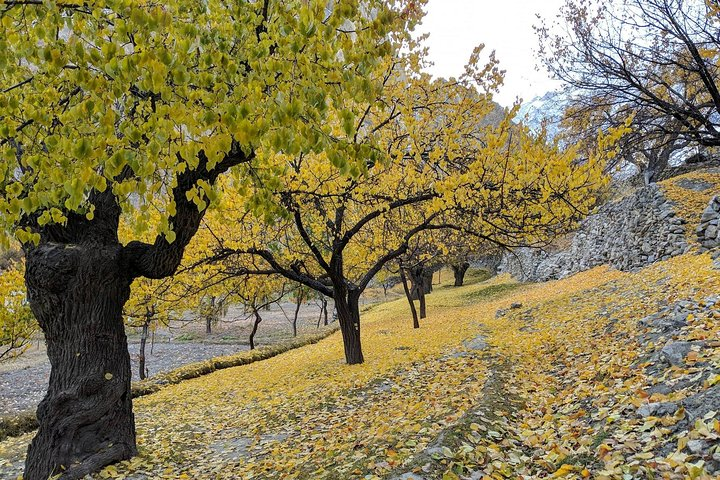 Hunza Autumn Tour - Photo 1 of 8