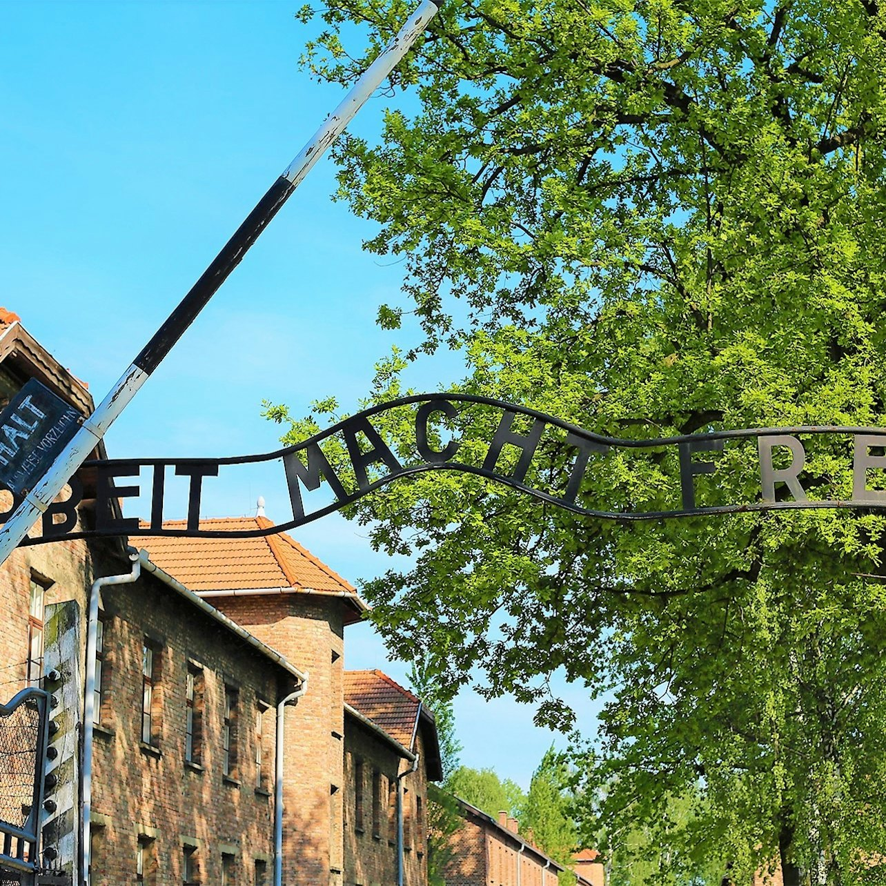 Auschwitz Birkenau: Live-Guided Tour + Transportation + Hotel Pickup - Photo 1 of 14