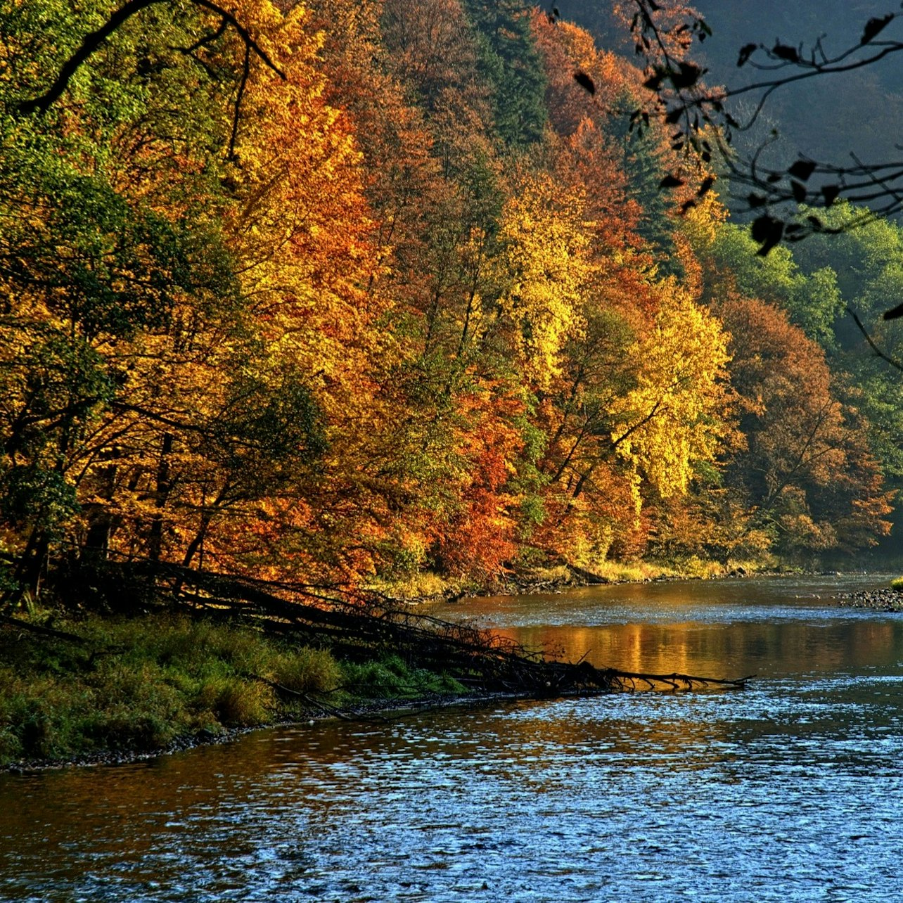 Dunajec River Gorge Rafting - Private Tour from Krakow + Hotel Pickup - Photo 1 of 5