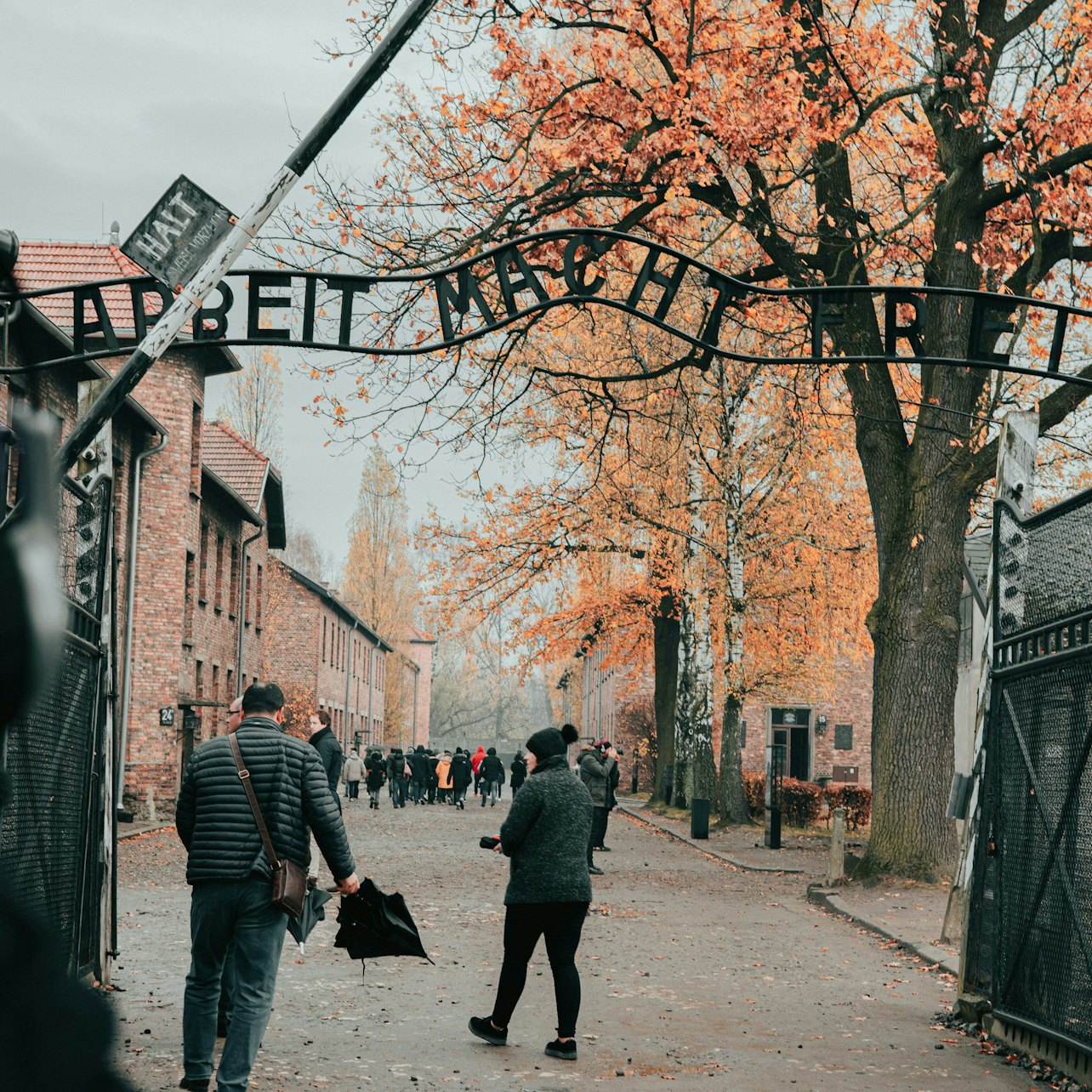 Krakow to Auschwitz Birkenau: Self Guided Tour with Guidebook - Photo 1 of 3