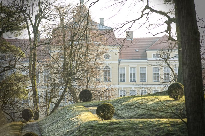 Palace, Castle and Ancient Oaks - Rogalin and Kórnik guided tour from Poznan  - Photo 1 of 11