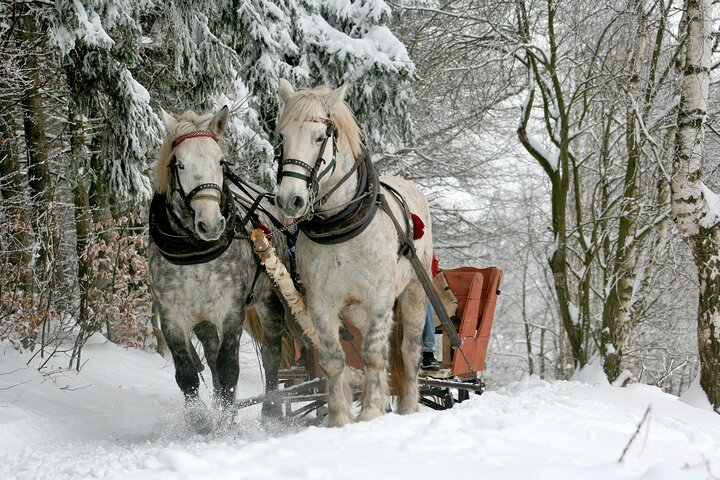 Sleigh led by horses