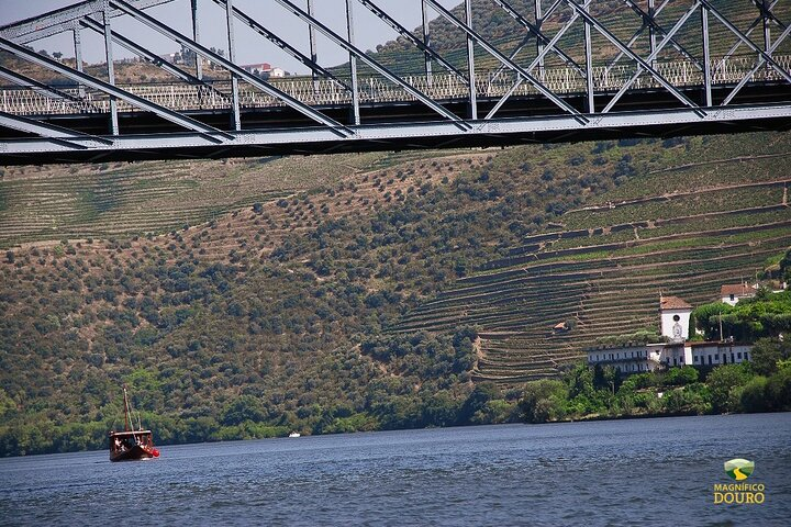 1-Hour Rabelo Boat Trip in Pinhão - Photo 1 of 23