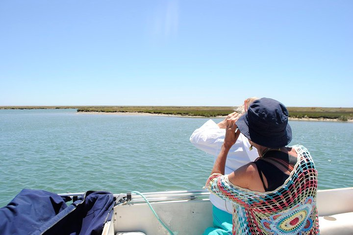 2-hour Bird Watching Guided Boat Trip in Ria Formosa from Faro Algarve - Photo 1 of 12