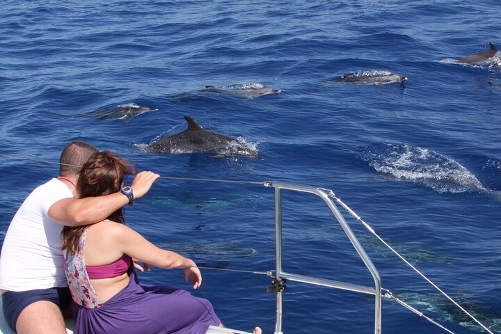 Amazing Skywalk, Wine Tasting & 4x4 Adventure + Dolphin Watching - Photo 1 of 21