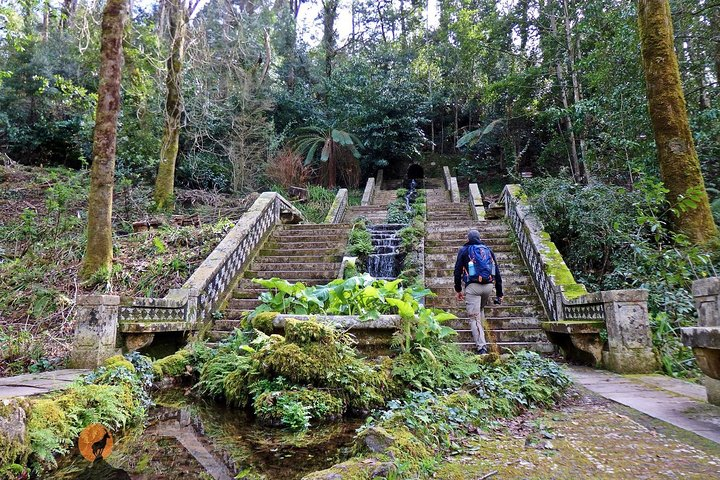 An adventure through the Forest and Palace of Bussaco - Coimbra - Photo 1 of 25