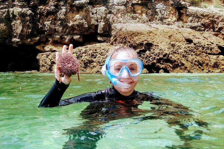 Arrábida Snorkeling Adventure with Transfer from Lisbon - Photo 1 of 21