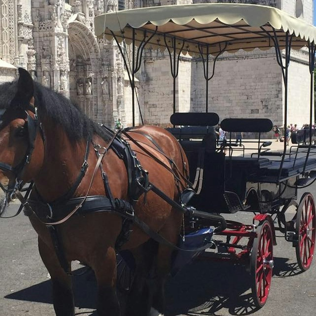 Belém: Horse-Drawn Carriage Ride - Photo 1 of 4