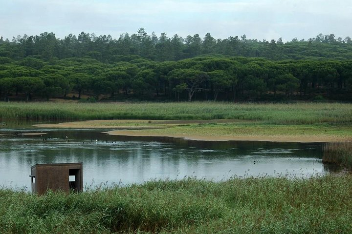 Albufeira Lagoon