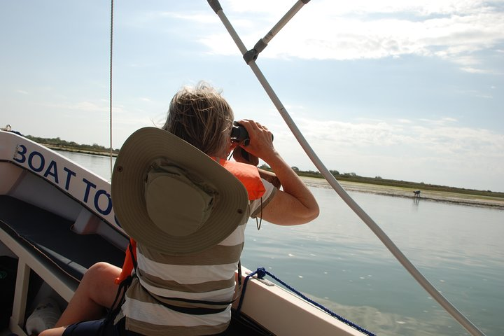 Birding in Tavira and Ria Formosa: Your Nemesis Bird Destination - Self-Guided - Photo 1 of 15