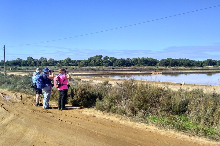 Birding Under Blue Skyes: The Great Bustard Adventure-Self-Guided Birding w/ Car - Photo 1 of 25