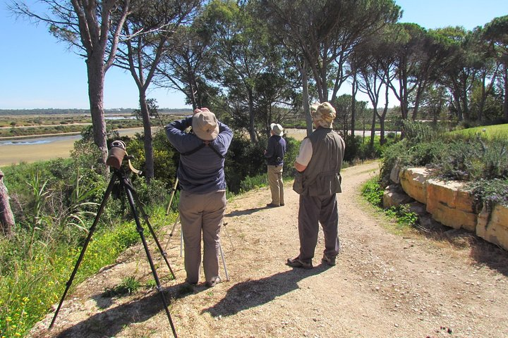 Group watching birds